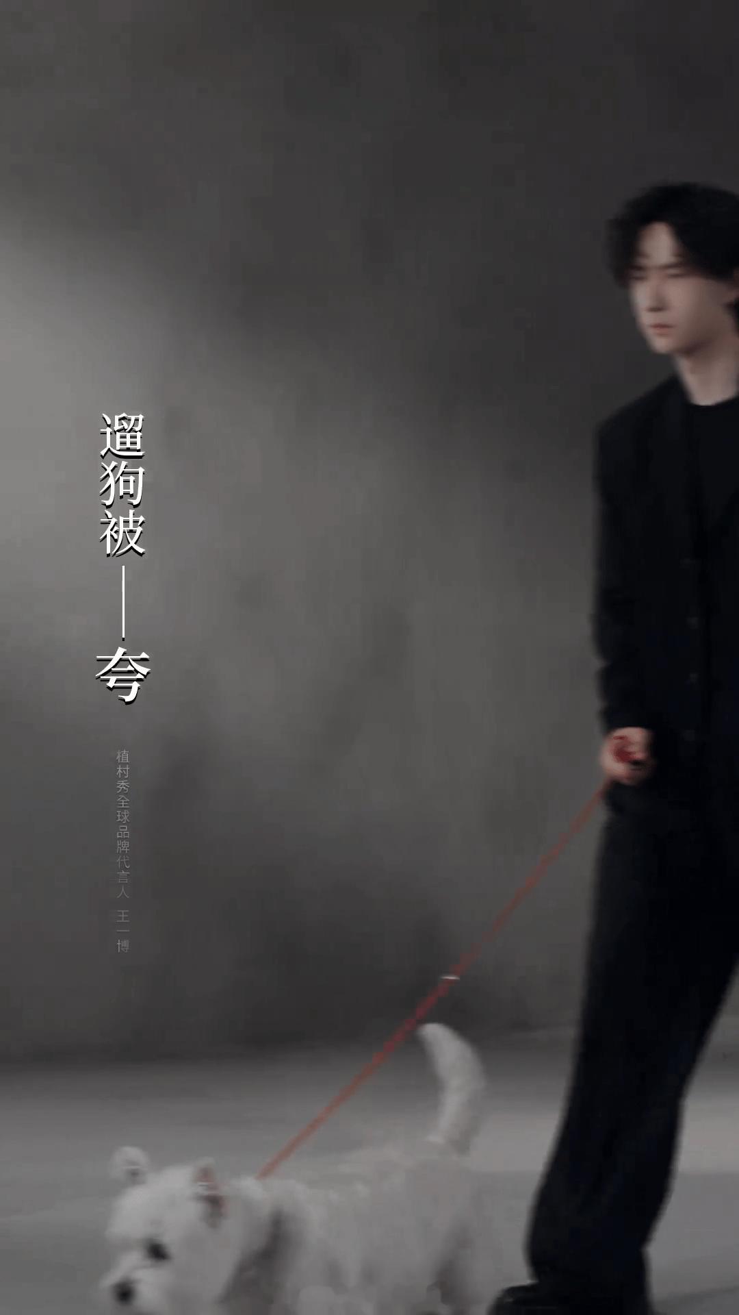 王一博遛狗被夸从容救场面不改色