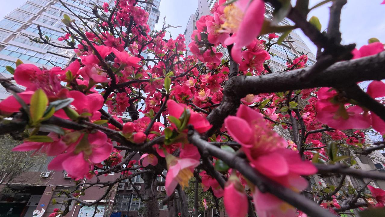 不要跟任何人深交不要试图改变别人不要随便给别人建议意见不和就闭嘴不要跟别