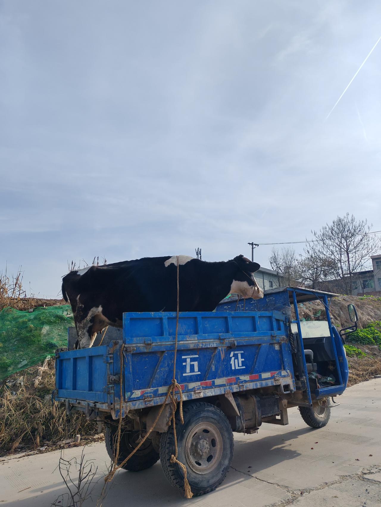 一顿饭否决一门亲事今天小薇第一次去男友家，回来后，她妈妈问了男家的情况，立马决