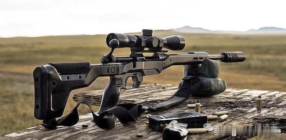 萨维奇110超轻型精英步枪