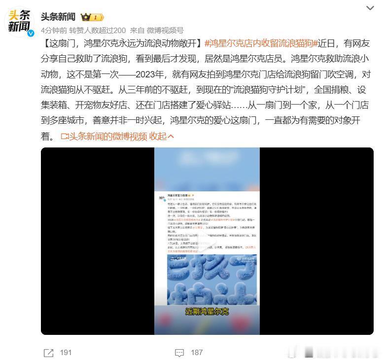 鸿星尔克店内收留流浪猫狗不去，把空间留给猫狗。