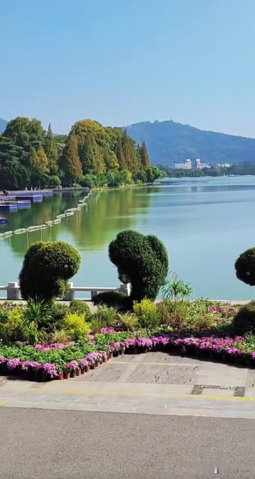 胃癌后的生活，今天工作有点累。到这里上班第一次感觉到疲劳，这也是