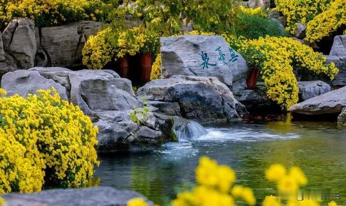 有时候想想自己真傻！舍不得吃舍不得穿舍不得用，结果赚的钱都给网贷和信用卡的手