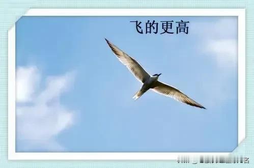 再上3600，市场却一片安静，为什么？感觉，还是因为分岐，只是，这一次大家都不