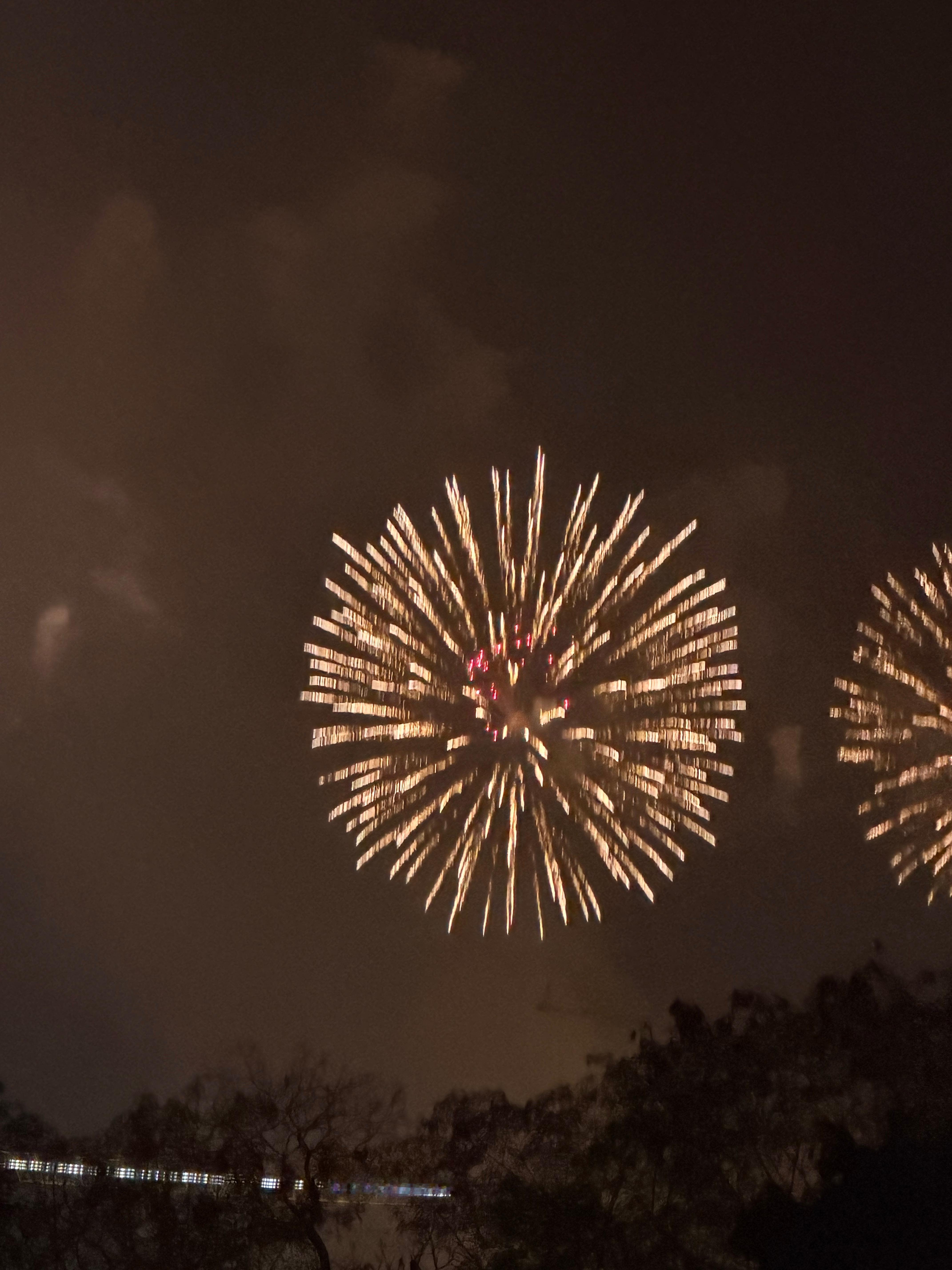 看到了好漂亮的烟花秀