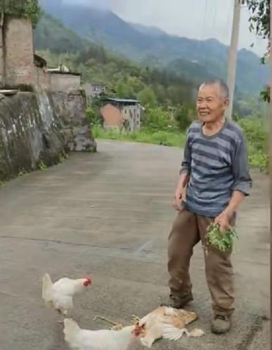 重庆，一位年轻人下乡办事，不慎将一只鸡压死！可他做梦都没想到，接下来的竟然不是争