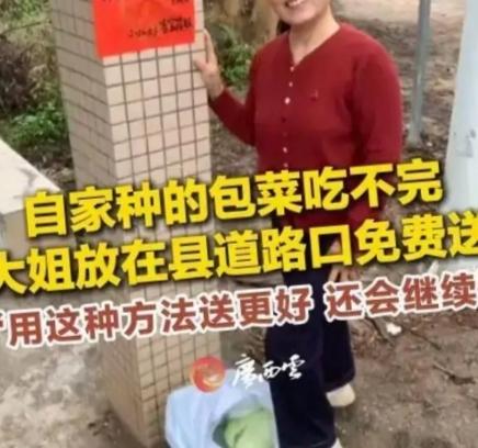 太善良了！广东河源，一大姐将自家种的包菜堆在了马路边，本以为她要摆摊售卖，结果大