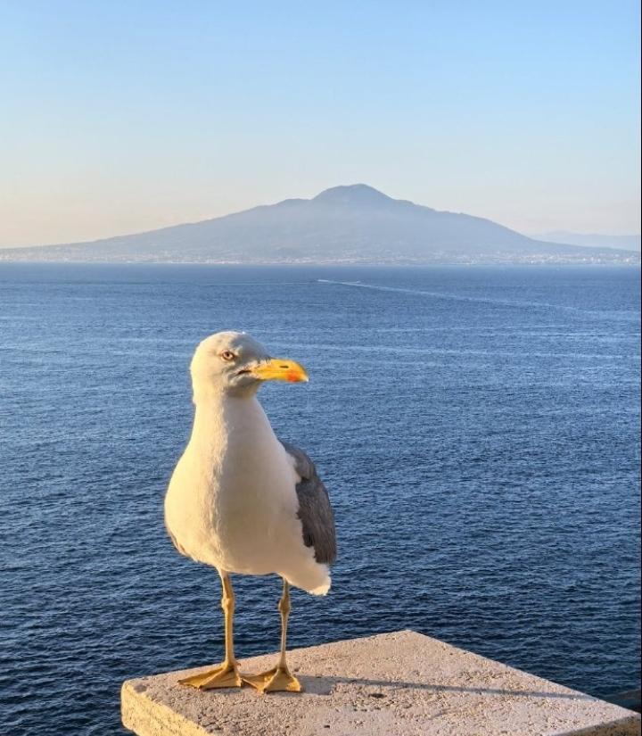 葡超：本菲卡-葡萄牙体育比赛还没开始，穆里尼奥的大巴车已经提前停在了本方球门前