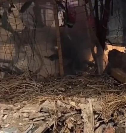 成都女业主住了整整8年，才知道客厅头顶楼板上方，竟还藏着一个7岁的孩童！这件