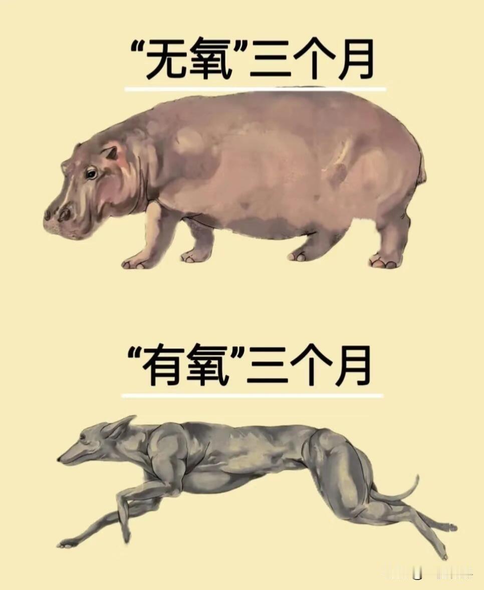 运动健身怎么选[加油][加油][加油]