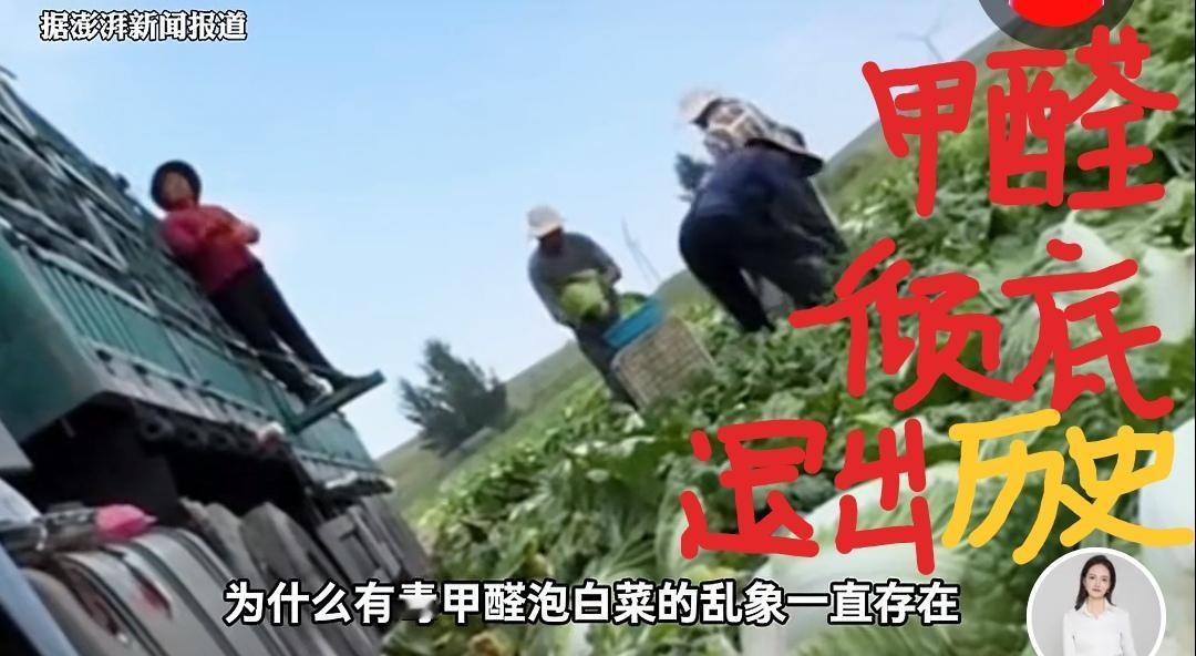 让甲醛彻底退出历史舞台，机会绝佳1、蔬菜蘸甲醛，倒下就一片。多年的侥幸，终