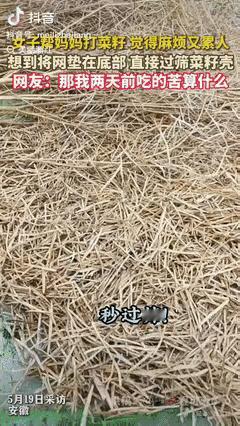 “劳动人民的智慧！”安徽一女子帮妈妈打菜籽，觉得又麻烦又累人，女子灵机一动，决定