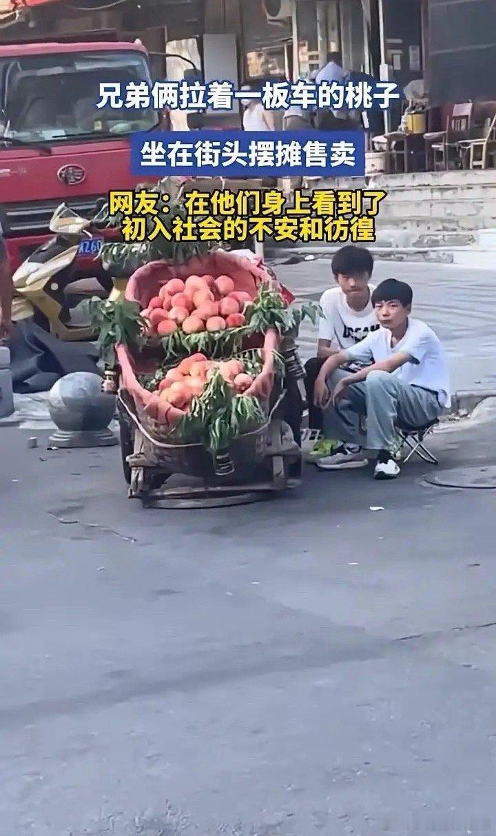 如果你刚好遇到他们，会买几斤吗？