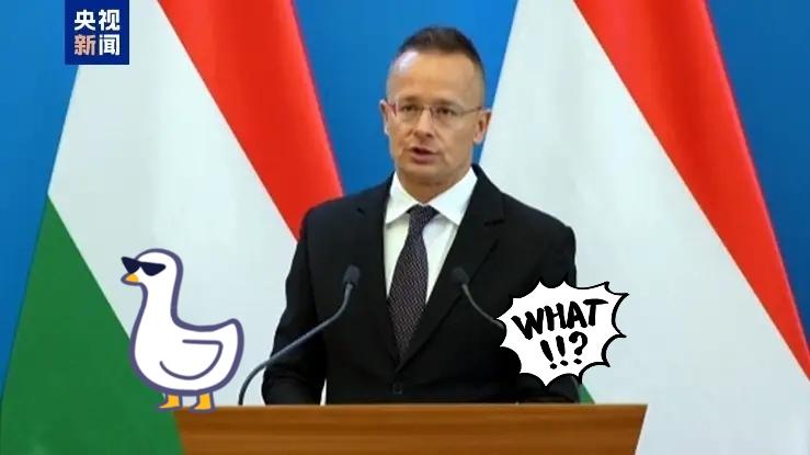 匈牙利传来新消息了！匈牙利外交与对外经济部长西雅尔多12月16日在布达佩斯宣