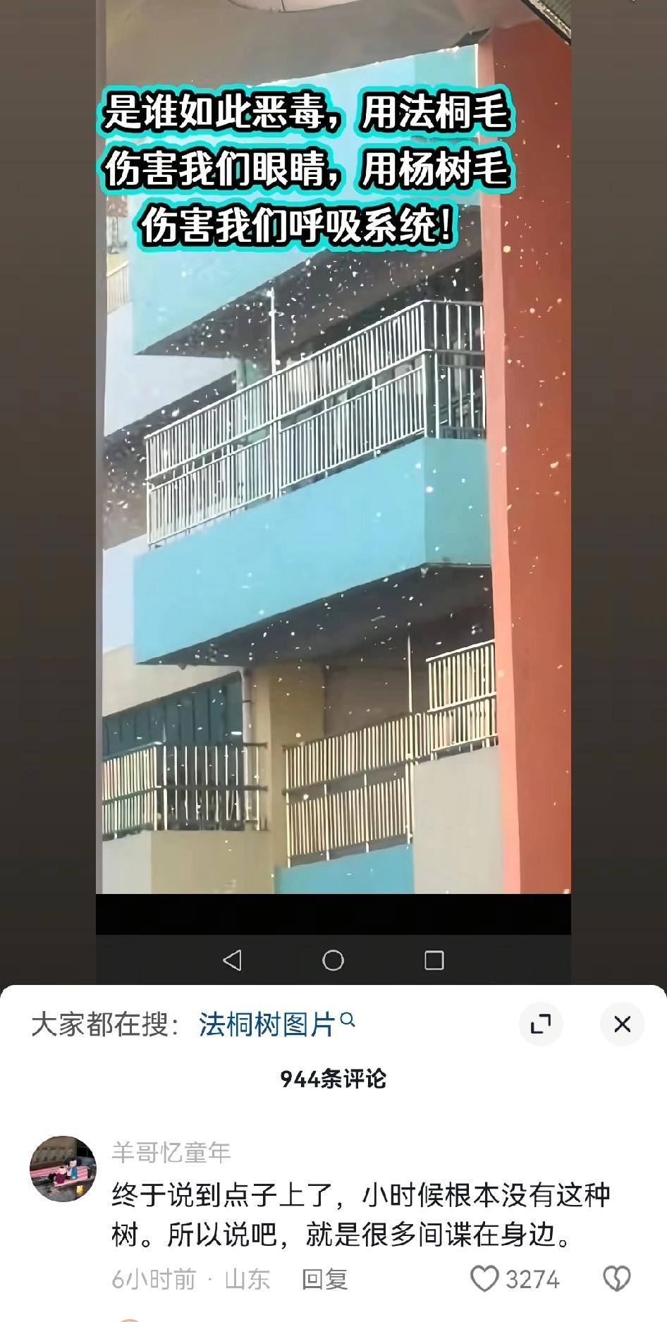 已经有人大胆猜测最近些年的漫天杨柳絮不简单了，觉得这可能是潜在间谍所为，有人说自