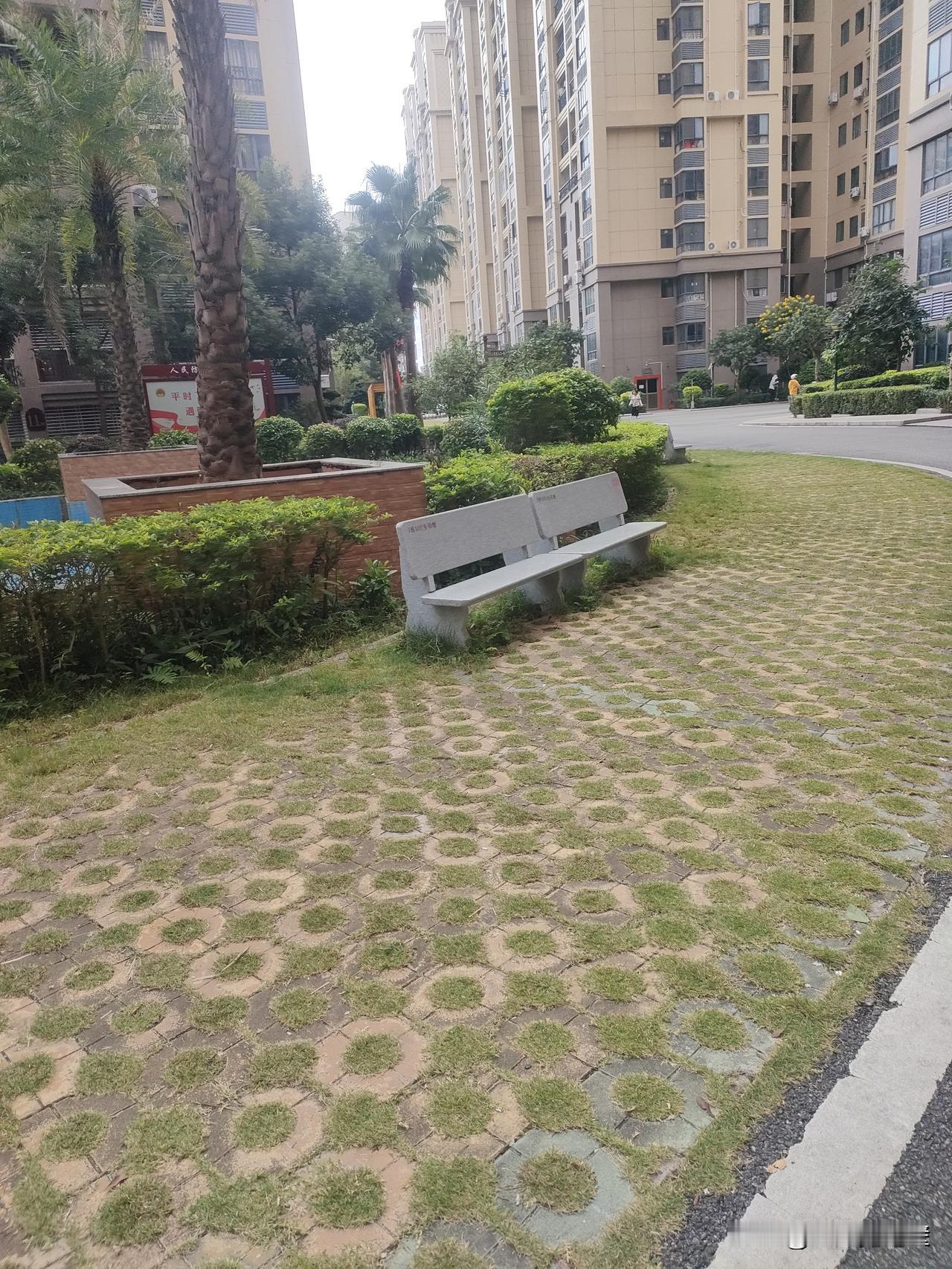 如果时光倒流，我想把遗憾都补回来要是能让时光倒流，我第一个想回到高三那年。