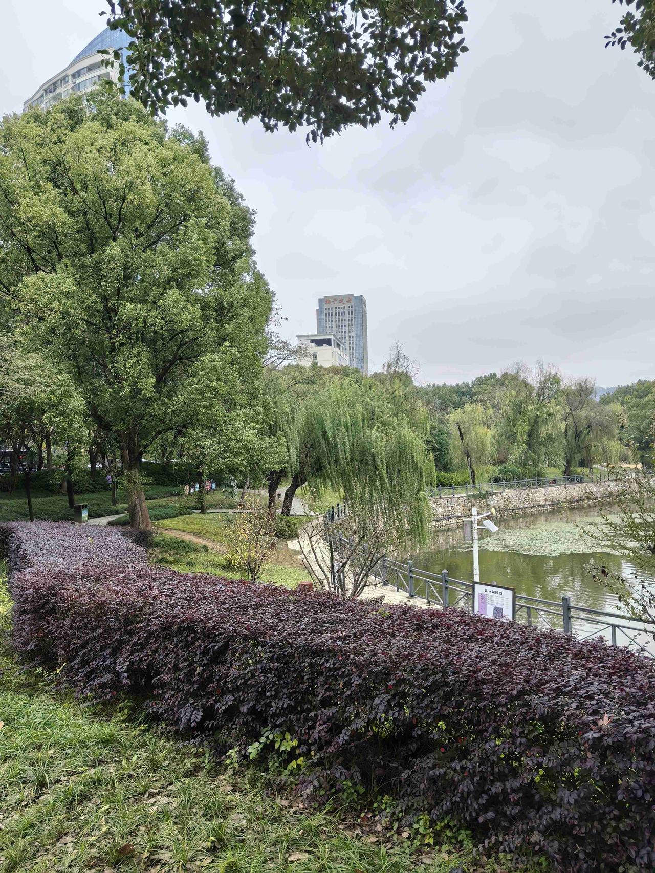 带定位晒今日生活今日开启旅行度假模式，定位黄石市。这天气挺奇妙，今晨6时晴