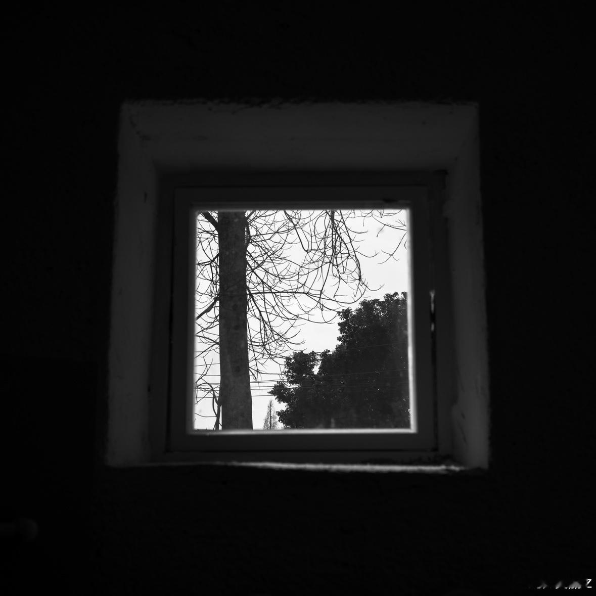 张凌赫交摄影作品了张凌赫发了六张自己的摄影作品，这质感，是打算进军摄影行业吗，我