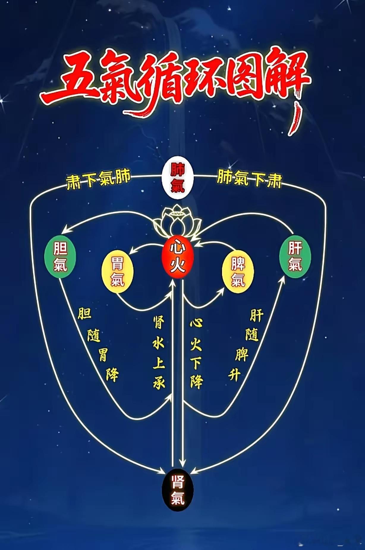 我们总说一个人眼界高，心气儿高，心气是指什么呢？肝火旺的说法，没听说肝气高的说法