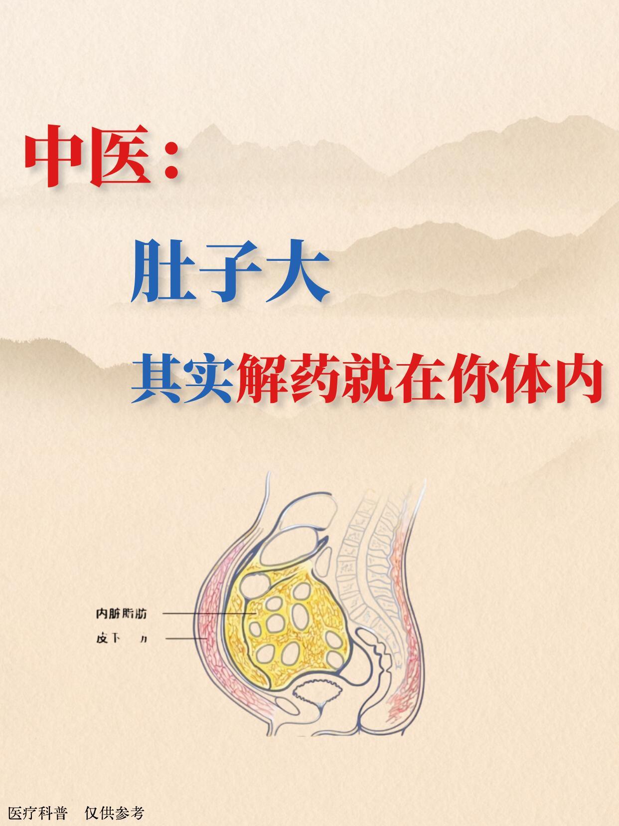 身上有赘肉的人，记住一个这个法子减肥不如先增强代谢﻿中医减肥﻿﻿减肥﻿﻿瘦身