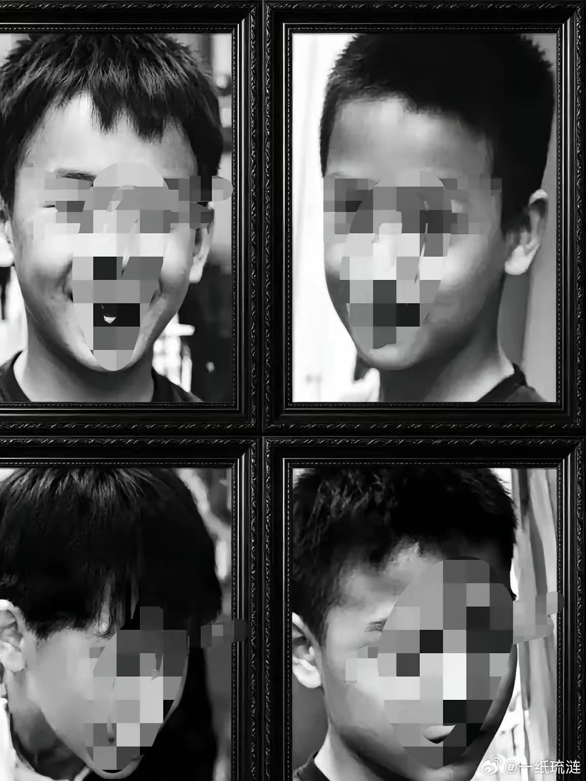 被烧死的母狗，到死也不敢咬他们一口。它想不明白：自己到底犯了什么天大的错误？这四