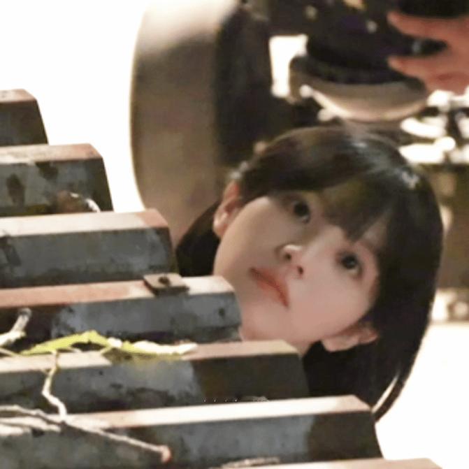 田曦薇丨小猫探头🐱​​​
