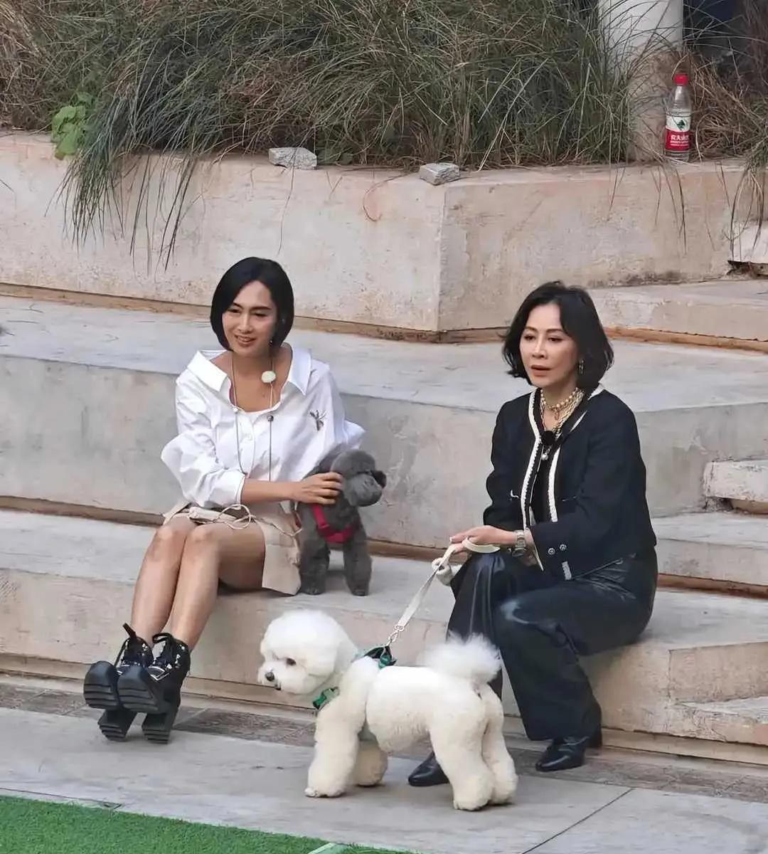 明星都那么有钱了，为啥不去过退休生活呢？