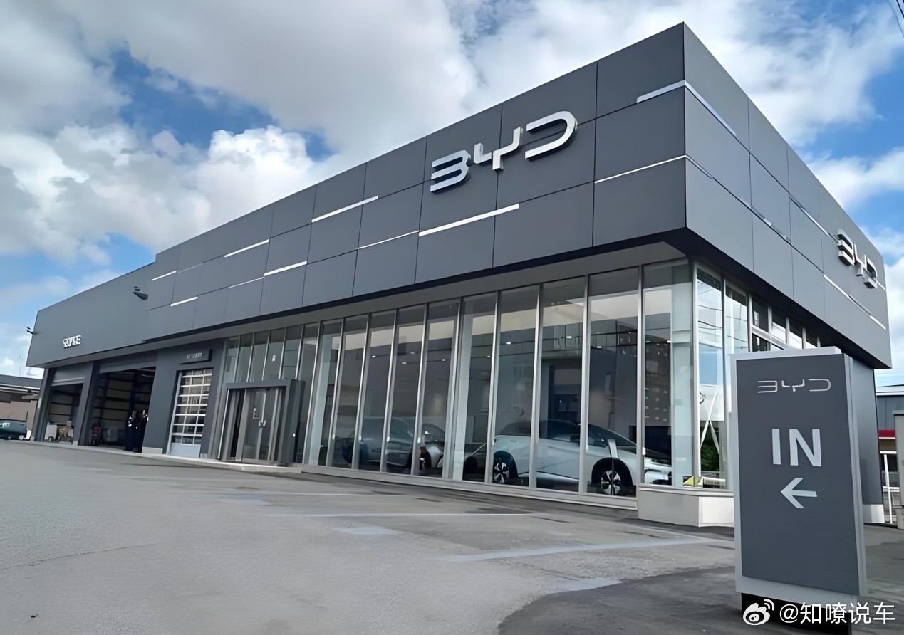 日本2026年1-2月汽车品牌销量榜，比亚迪暴涨135.8%2026年一季度，全