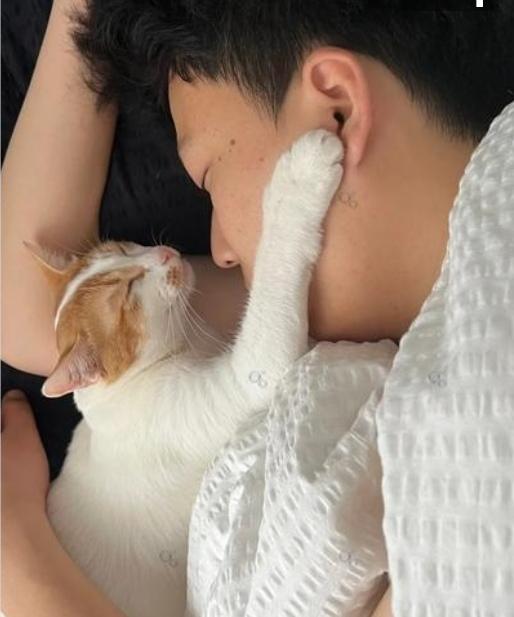 国庆假期，男子带猫咪出去玩，彻底放松了自己，玩累了躺在公园的长椅上呼呼大睡。猫咪