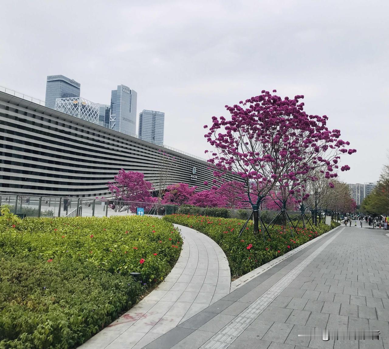 不要遐想，深圳房价破20万如果说是局部，前几年深圳湾一带早就破了；假如说是均价，