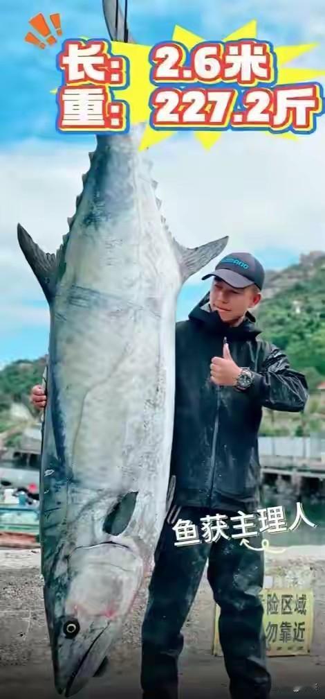 227斤中华马鲛鱼被钓起！揭秘珠海钓友的“擒鱼重器”，缺一不可近日珠海庙湾