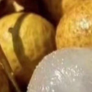 0000龙眼种植方法一、选地与整地选择阳光充足、排水良好的缓坡地或平地，土壤以