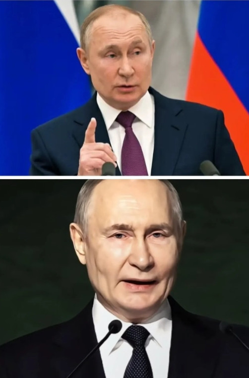 今天晚上最该睡不着的，不是泽连斯基，而是俄罗斯总统。根据德国电视二台的最新消息