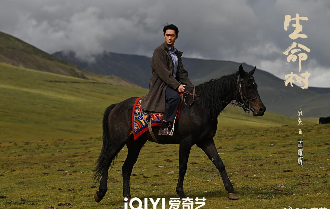 简直离谱！17年前被巡山队长救下的体育生，17年后竟然成了害死恩人的杀手，这剧情