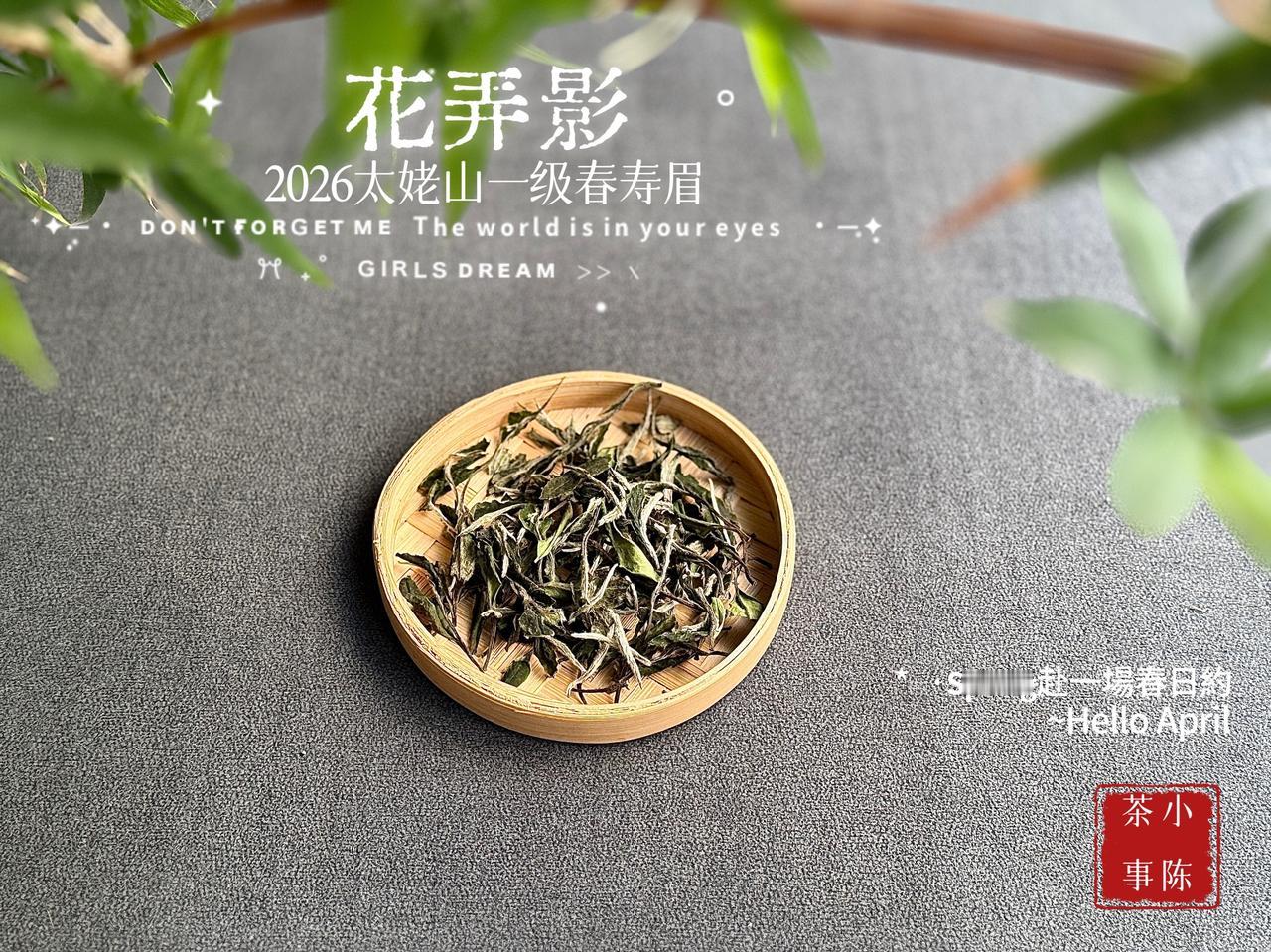 为什么便宜的寿眉，反而成了茶桌主力？寿眉之所以能成为茶桌主力，主要得益于以下三