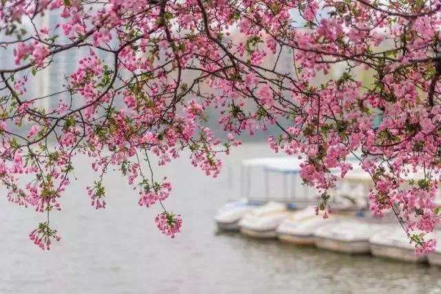 金陵之春|你若在，便是故事的开始…