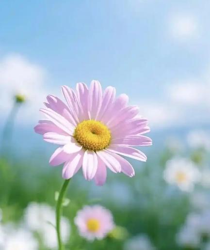 非常通透的一段话：“拖垮一个家庭，只需要一个病人；而托起一个家庭，只需要一个