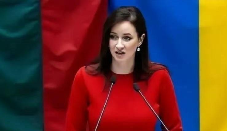 立陶宛生气了！新总理希望与中国恢复经贸关系，居然没获中方回应，立陶宛电力部宣称，