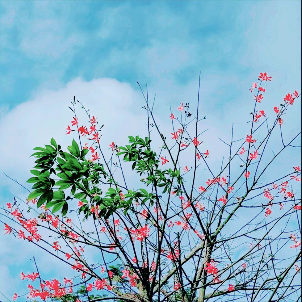 中央听取香港特别行政区、澳门特别行政区行政长官年度述职汇报传递出3个重要信号 