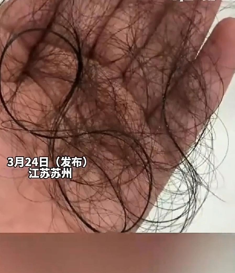 江苏苏州一宝妈领教了辅导孩子作业的个中滋味。宝妈望子成龙心切，工作之余，还不忘