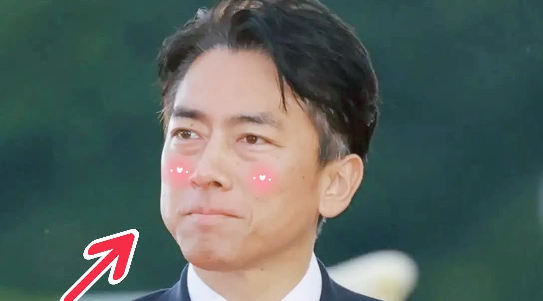 日本最新民意“如小泉进次郎成为首相，日本立刻完蛋”日本最新JNN民意