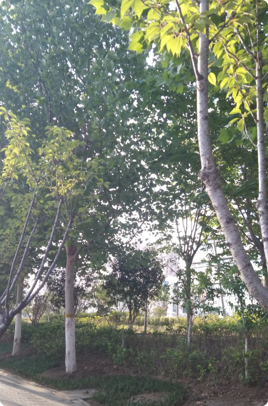 昨天公公吵了一架，原因是随份子钱。老公去世后，公公婆婆一直跟我过。那个时候我就
