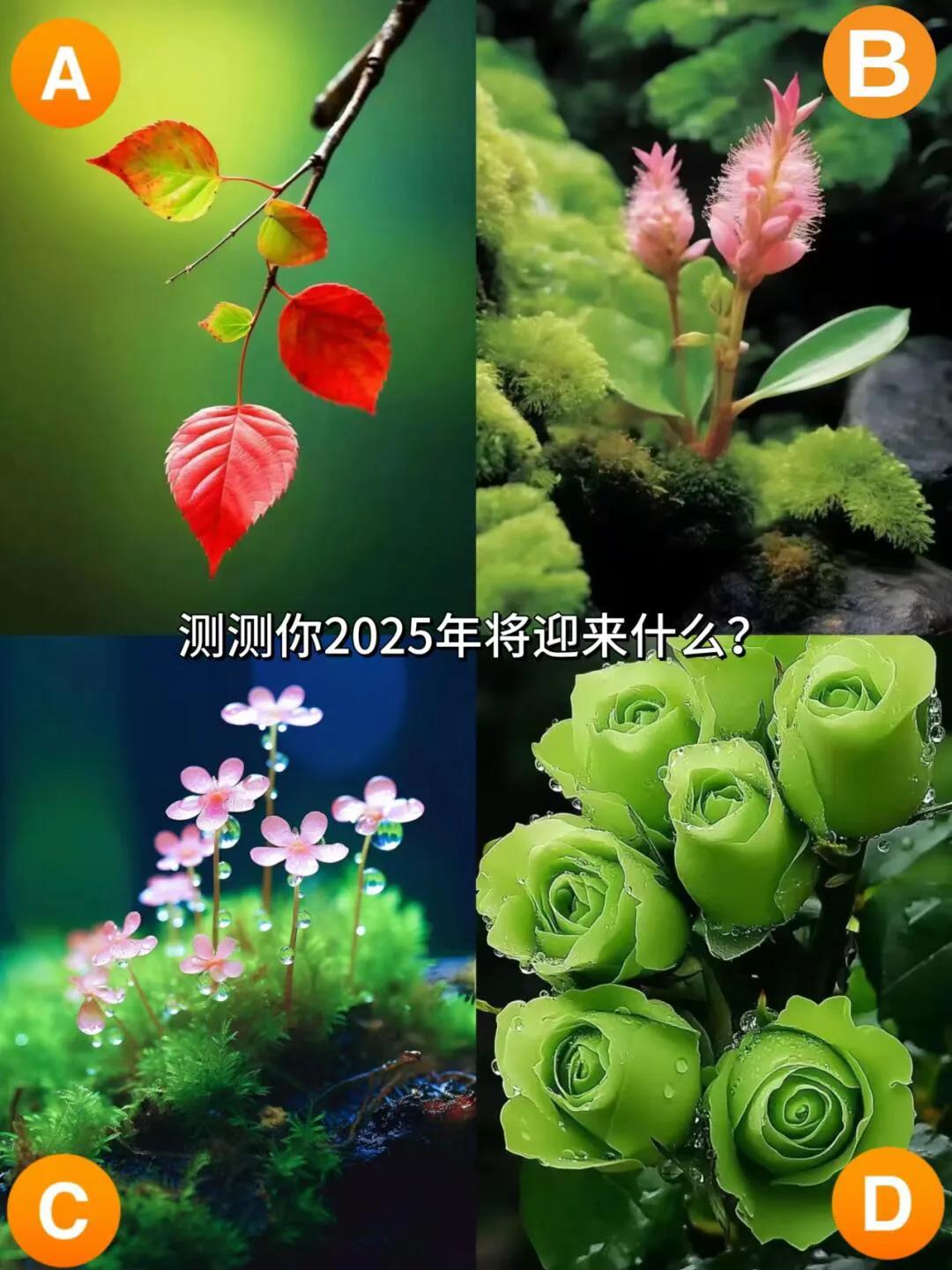 心理测试：预测你2025年将迎来什么？你是否对未来的几年充满期待？想知道自己