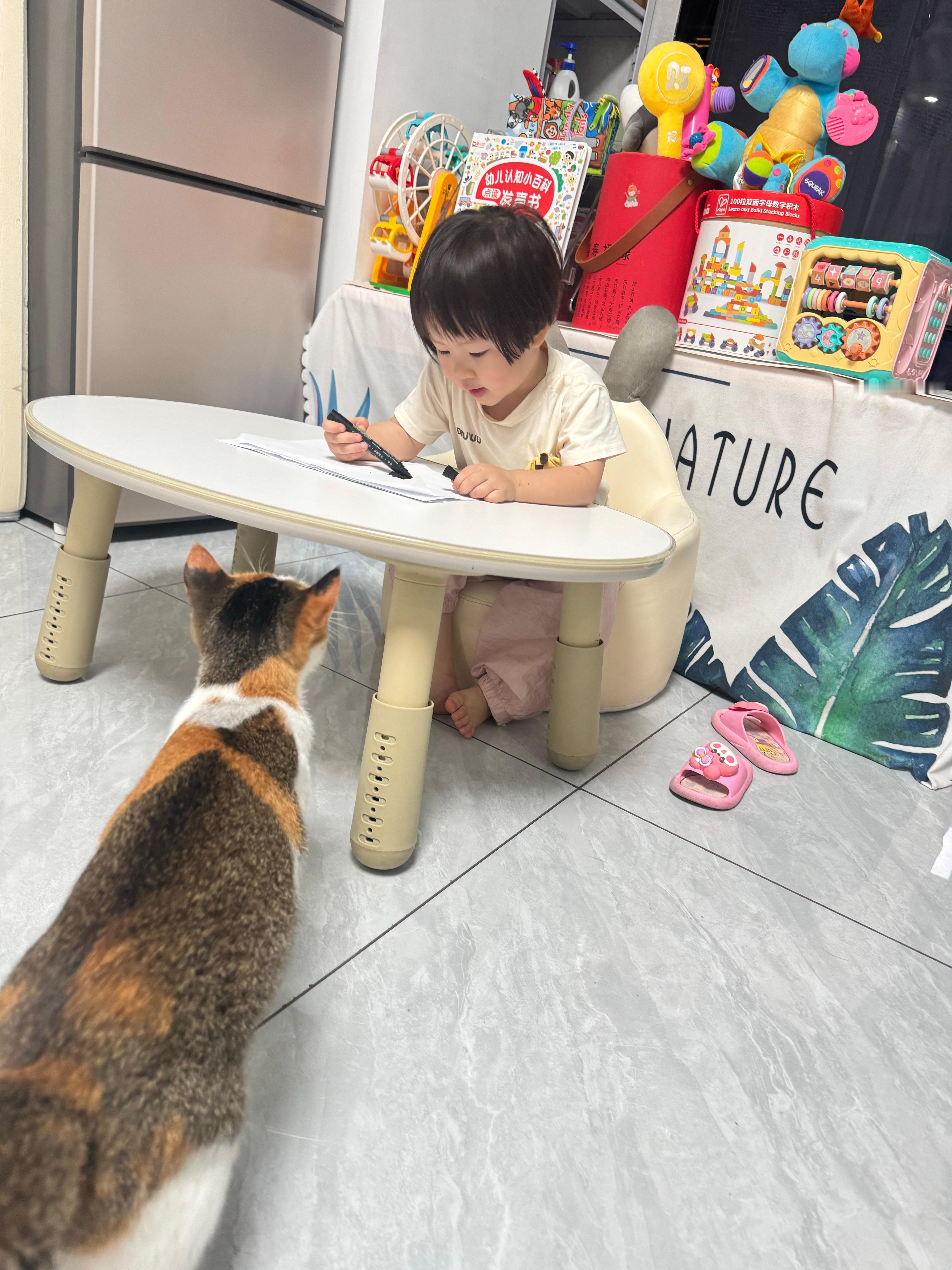 我嫂子捡到的三花猫，我出钱让她带去绝育了，说要找领养，但是估计很难找到领养，现在就在家里养着。我侄女