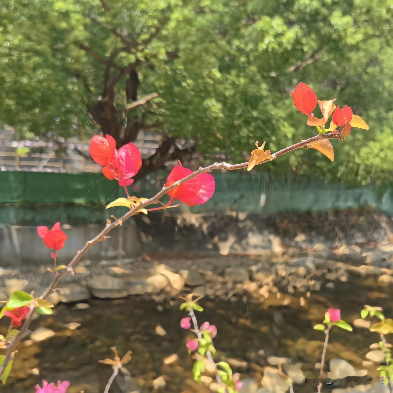 楼市是不是稳了？看看这四个关键信号，比一百篇分析都管用！1️⃣顶级定调，