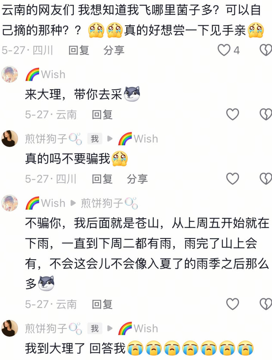 遇到一个口嗨玩不起的云南网友