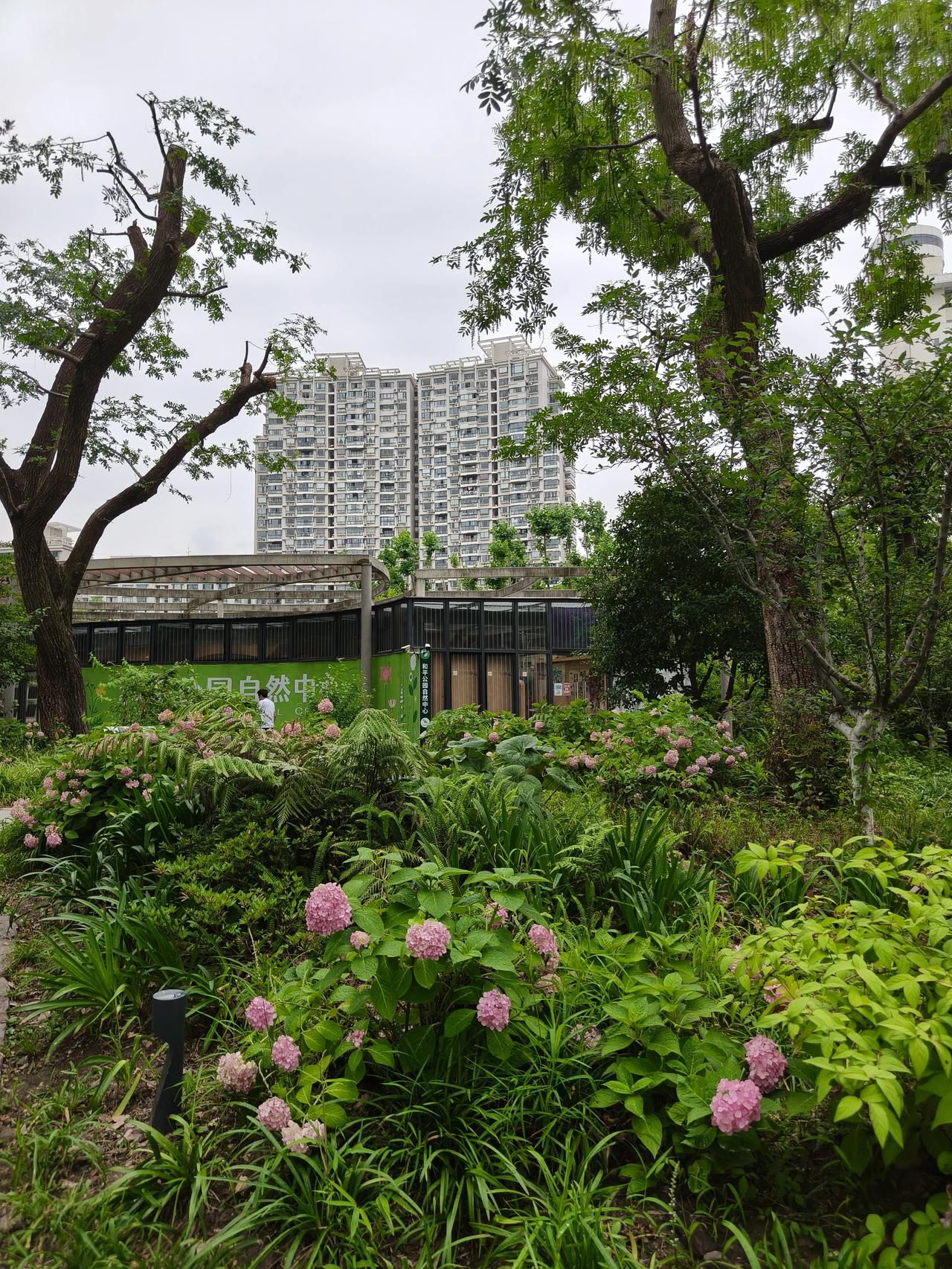 周末公园散步随手拍实景图分享！夏日花草🌿美景随手拍…🌸