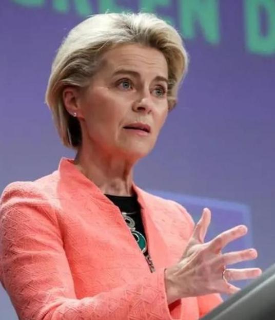 最近全球政坛炸出个大新闻，一位欧洲高官在私下会议上，没忍住说出了大实话，语气又急