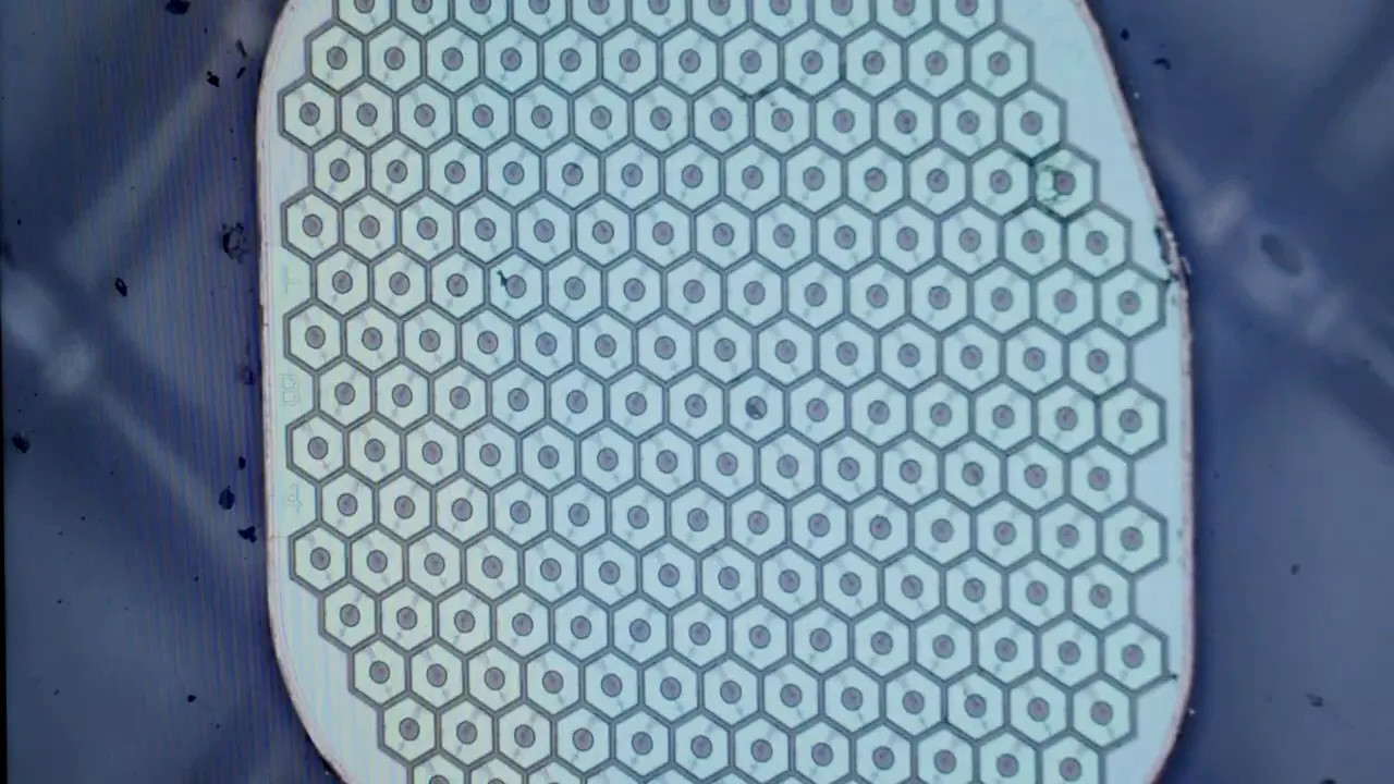 Neuralink前总裁MaxHodak正加速推进生物混合型脑机接口项目4月1