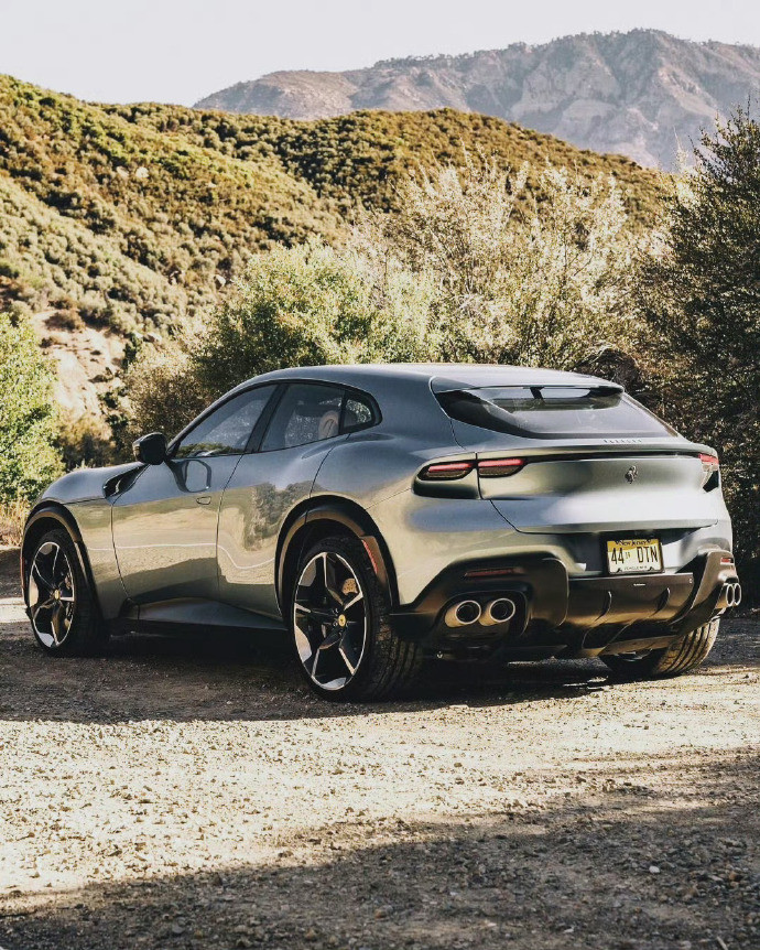 FerrariPurosangue​​​